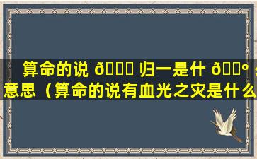 算命的说 🐞 归一是什 🌺 么意思（算命的说有血光之灾是什么意思）